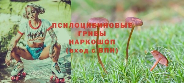 амф Армянск