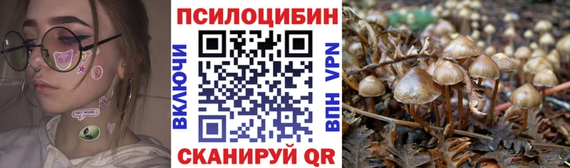 купить наркотики цена  Тюкалинск  это Telegram  Псилоцибиновые грибы прущие грибы 